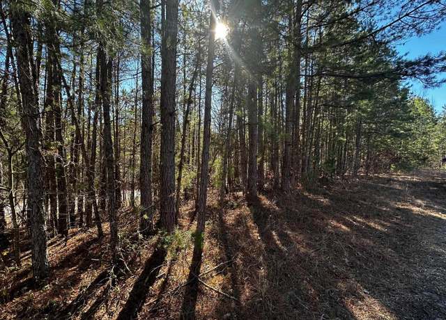 Property at 108 Cobalt Bay Dr Lot 108, Shirley, AR 72153