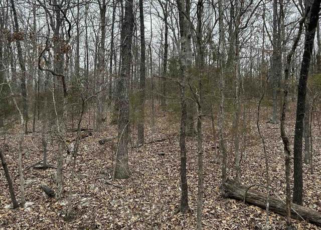 Property at Tbd Cochise Rd, Cherokee Village, AR 72529
