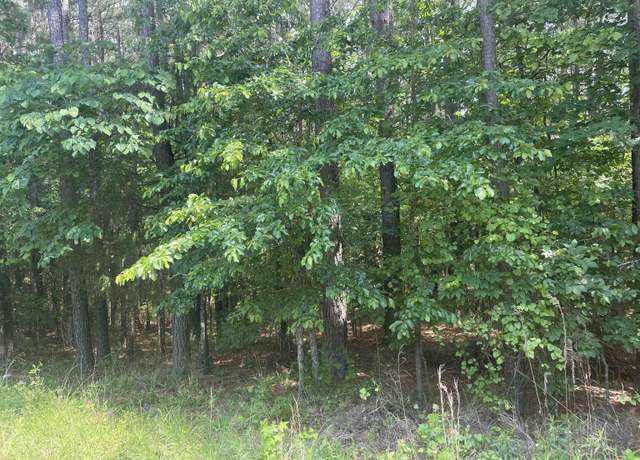 Property at 39 Atrayente Way, Hot Springs Village, AR 71909