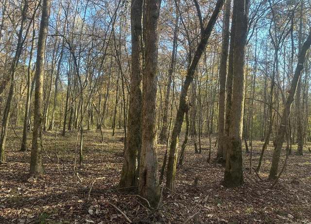 Property at 260910 Hollis Rd, Rison, AR 71665