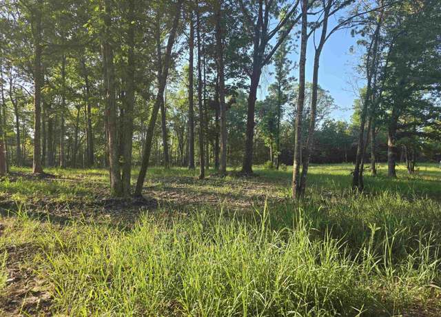 Property at 210 Polk Road 121, Mena, AR 71953