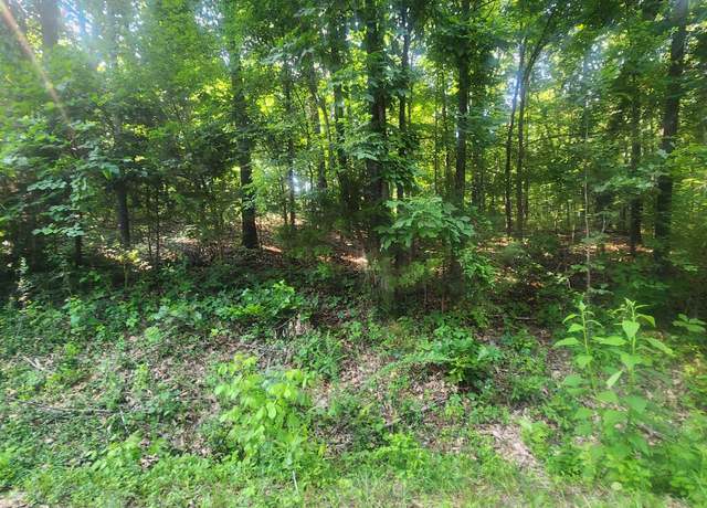 Property at L-25 B-7 Navajo Trce, Cherokee Village, AR 72529