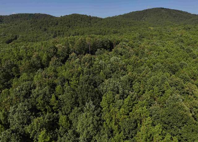 Property at 6 Polk Road 78 Lot 6, Mena, AR 71953