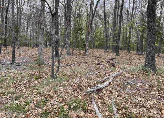 Property at 1323 Hummingbird Ln, Horseshoe Bend, AR 72512