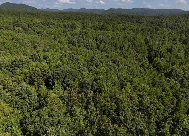 Property at 7 Polk Road 78 Lot 7, Mena, AR 71953