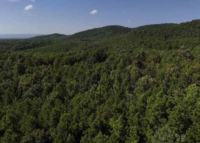 Property at 8 Polk Road 78 Lot 8, Mena, AR 71953