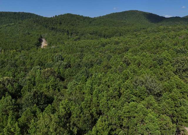 Property at 10 Polk Road 78 Lot 10, Mena, AR 71953
