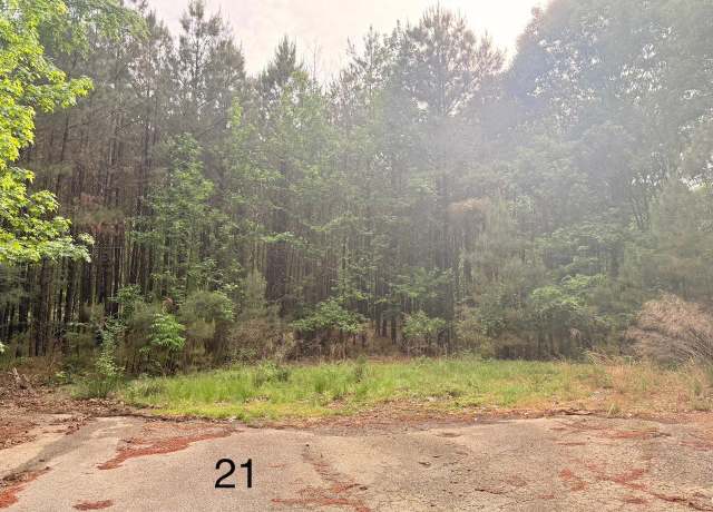 Property at Spruce Cv Lot 21, Monticello, AR 71655