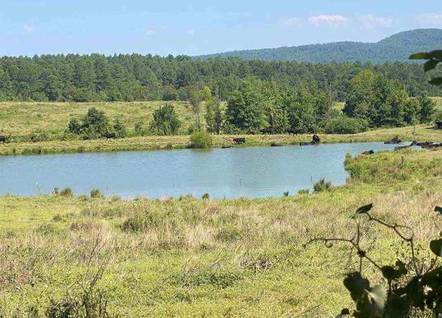 Property at To Be Determine Old Caddo Gap Rd, Bonnerdale, AR 71933