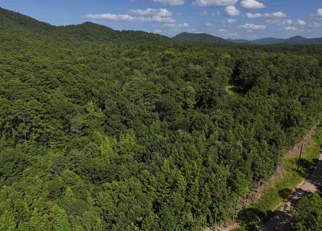 Property at 13 Polk Road 78 Lot 13, Mena, AR 71953