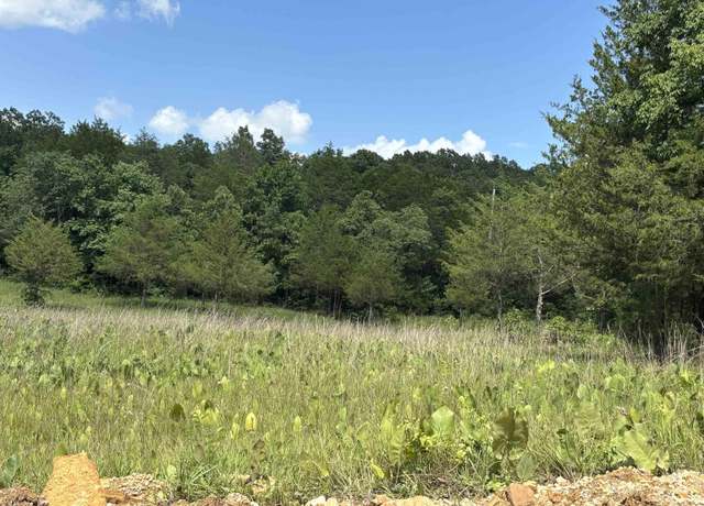Property at Powells Chapel Rd, Evening Shade, AR 72532