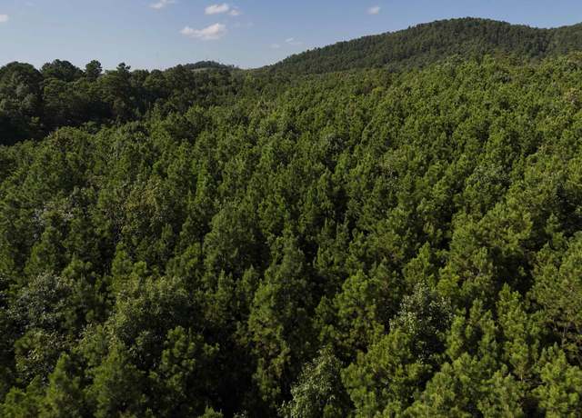 Property at 14 Polk Road 78 Lot 14, Mena, AR 71953