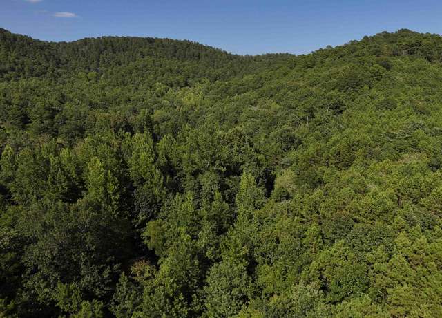 Property at 17 Polk Road 78 Lot 17, Mena, AR 71953