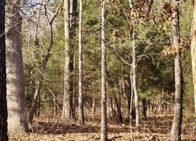 Property at 41 Winnebago, Cherokee Village, AR 72529
