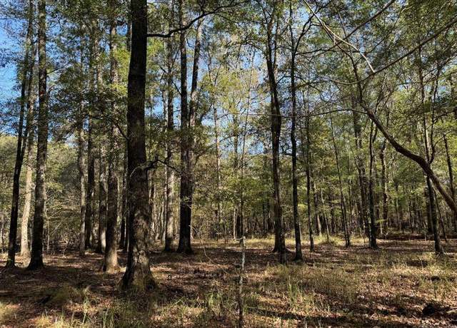 Property at Tbd Open Banks Rd, Arkadelphia, AR 71923