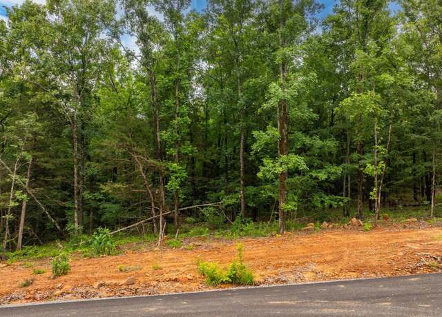 Property at 19 Sky Eagle Dr, Greenbrier, AR 72058