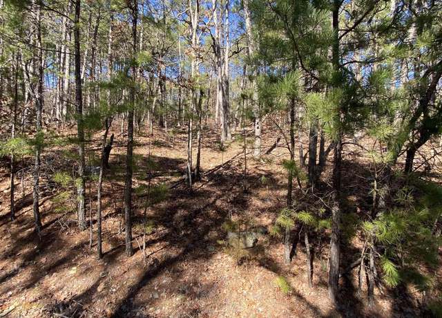 Property at 38 Surtidor Ln, Hot Springs Village, AR 71909