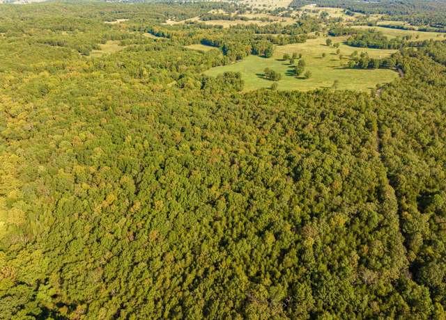 Property at 0 Silver Spgs, Evening Shade, AR 72532