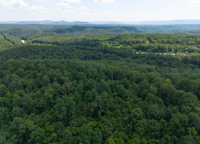 Property at Hwy 333 Lime Dr, Saint Joe, AR 72675