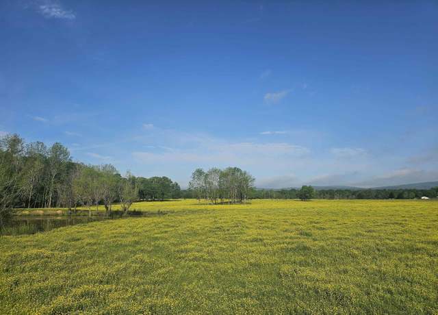 Property at 10256 Shakey Pine Ln, Ola, AR 72853