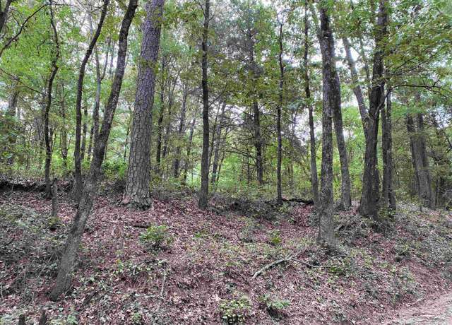 Property at 000 Old Wire Rd, Atkins, AR 72823