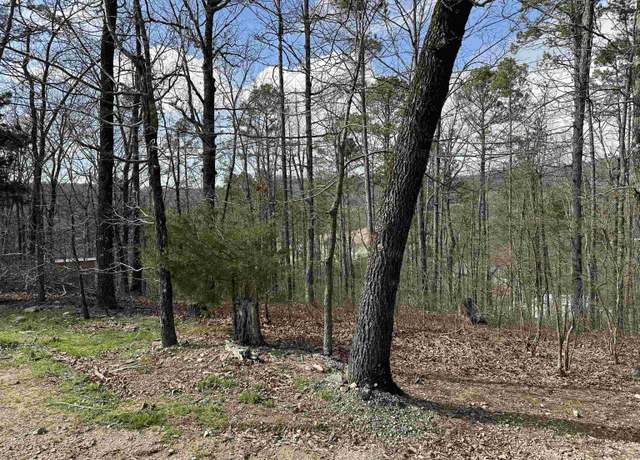 Property at 255 Gilmer Ln, Hot Springs, AR
