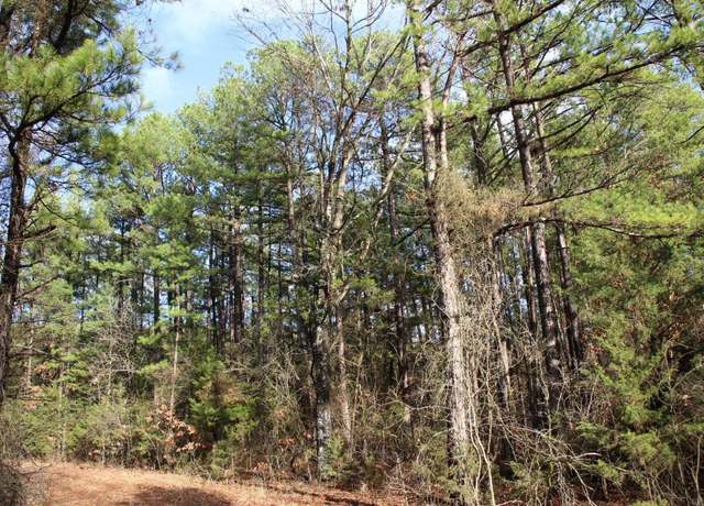 Property at 001-04155-000 Mc 6011, Yellville, AR 72687