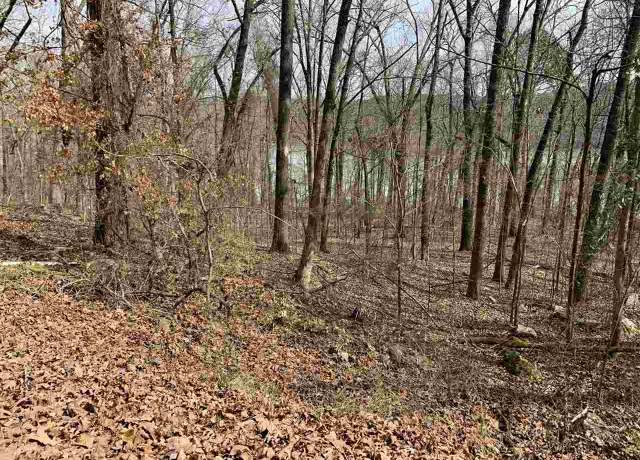 Property at 61 Lower Ridge Cir Lot 61, Edgemont, AR 72044