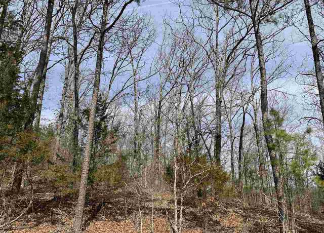 Property at 68 Lower Ridge Cir Lot 68, Edgemont, AR 72044