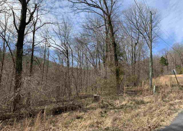 Property at 36 Lower Ridge Cir Lot 36, Edgemont, AR 72044