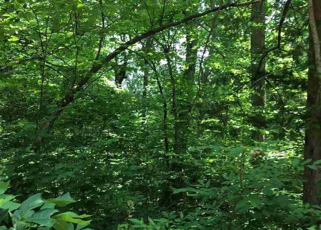 Property at 00 Herst Rd, Mountain View, AR 72560