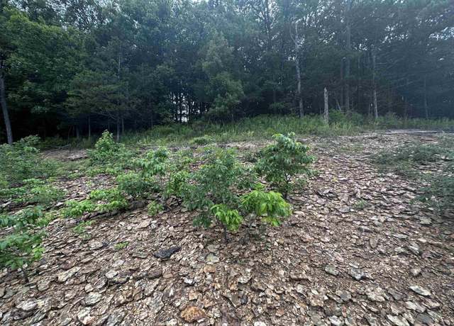Property at 72 Cobalt Bay Dr Lot 72, Shirley, AR 72153