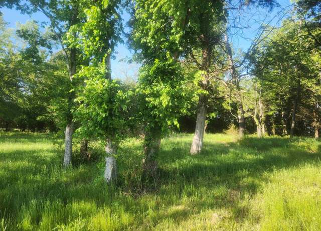 Property at Tract 3 Castleberry Ln, Lamar, AR 72846