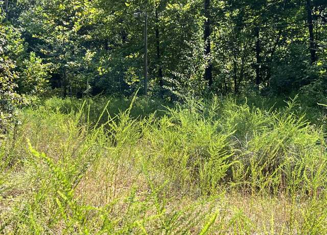 Property at 528 Black Oak Rd, Mammoth Springs, AR 72554