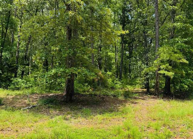 Property at 45 Primrose Crk Lot 45, Heber Springs, AR 72543