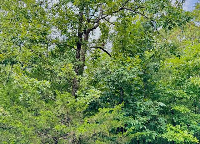 Property at 53 Primrose Crk Lot 53, Heber Springs, AR 72543