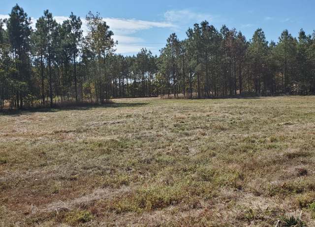 Property at 2 Young Pnes Lot 2, Rison, AR 71665