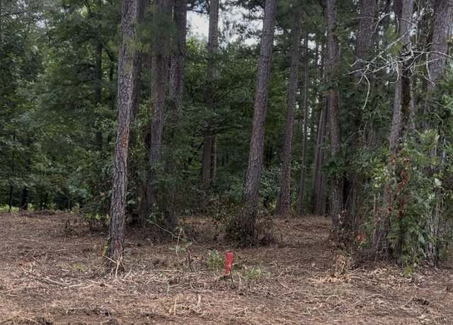 Property at Clinton Lynch Rd, Clinton, AR 72031