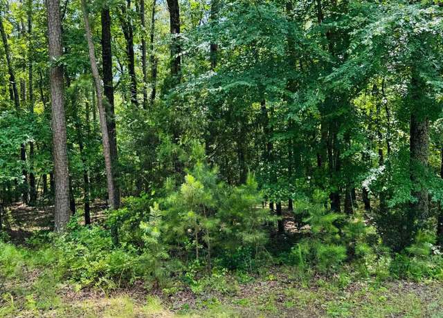Property at 39 Primrose Crk Lot 39, Heber Springs, AR 72543