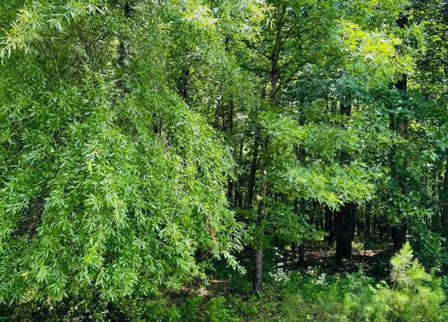 Property at 42 Primrose Crk Lot 42, Heber Springs, AR 72543