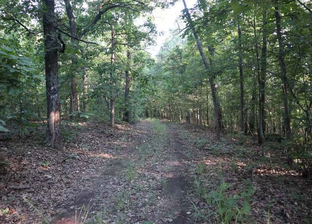 Property at Tbd Wynona Rd, Ash Flat, AR 72513