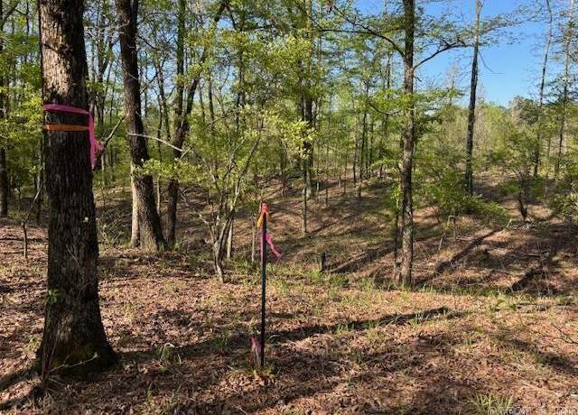 Property at 0 Grant County Rd 291020, Prattsville, AR 72129
