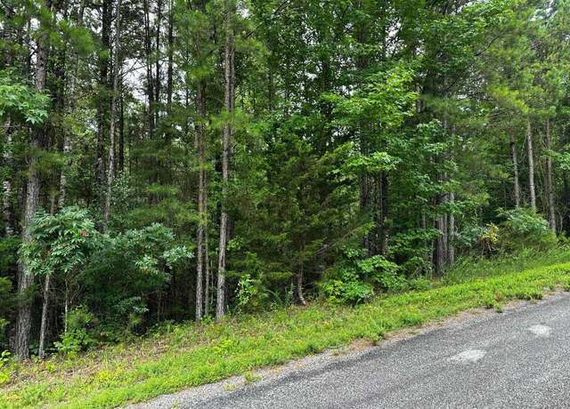 Property at 96 Cobalt Bay Dr Lot 96, Shirley, AR 72153