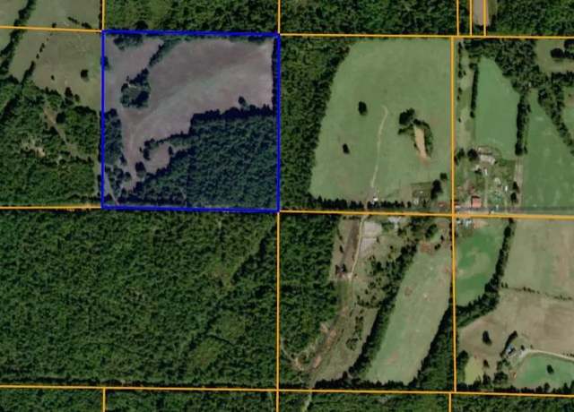 Property at County Road 461, Pollard, AR 72454