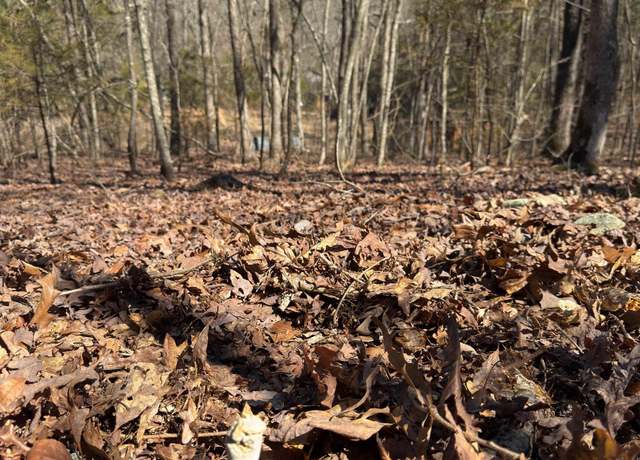 Property at Tbd Joy Lane Parcel B, Mena, AR