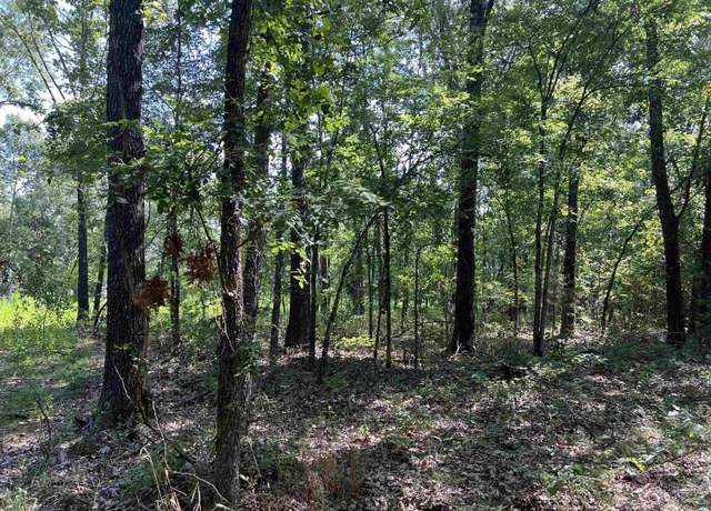 Property at 47 Cedar Creek Dr, Harrison, AR 72601
