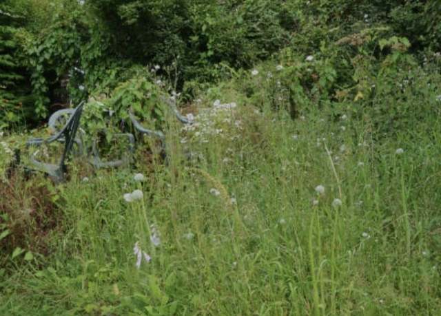 Property at 157.81 Acres Yell County, Bluffton, AR 72827