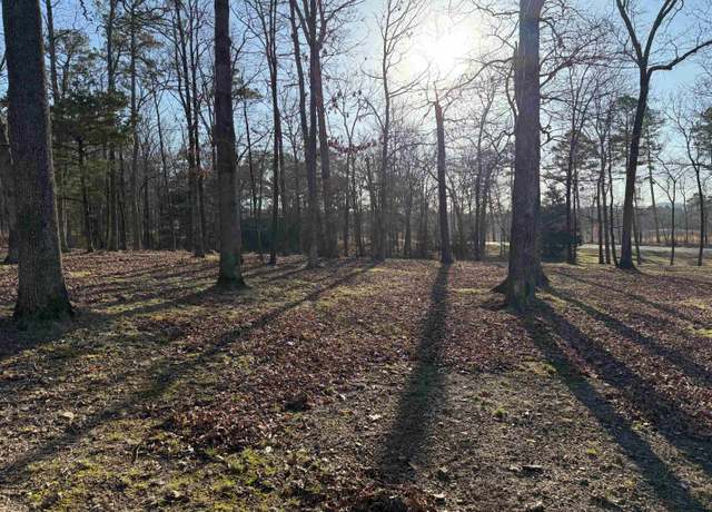 Property at Tbd S Hwy 71 Lot 2, Mena, AR 71953