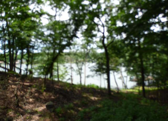 Property at 13 Timberlake Dr Lot 13, Royal, AR 71968