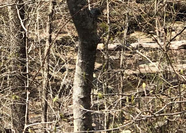 Property at 0000 Lute Mountain Rd, Shirley, AR 72153